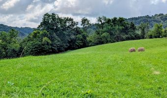 1385 Betsy Ross Rd, Afton, TN 37616