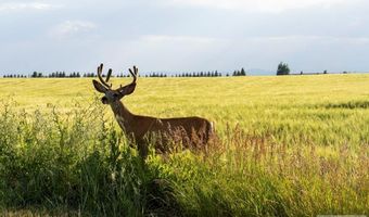 Tbd E 1400 N, Ashton, ID 83420