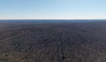 Tuska Drive, Ash Flat, AR 72513