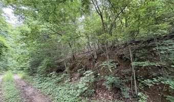 5 Lots Fortunato Dr, Baneberry, TN 37890