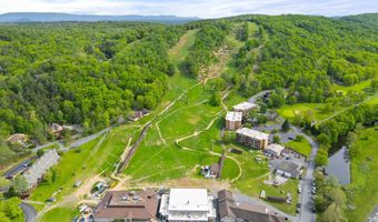 155 CONNIE, Basye, VA 22810