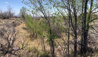 On Sol Grande, Arroyo Seco, NM 87514