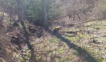 8005 Poplar Cp, Austinville, VA 24312