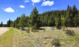 PCS # 10594 Looney Lane lot 0, Alma, CO 80420