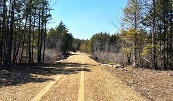 Milk Road lot 14, Alfred, ME 04002