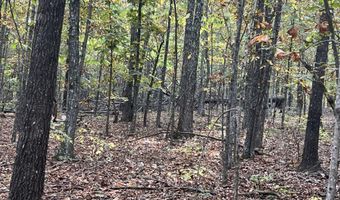 County Road 113 lot 1, Alton, MO 65606