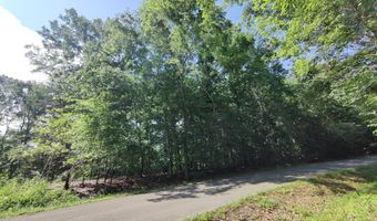 3347 Mountain View Ln, Baneberry, TN 37890