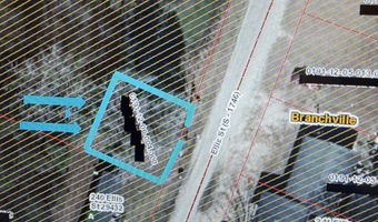 TBD Ellis St, Branchville, SC 29432