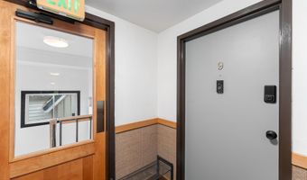 910 W Hallam St 9, Aspen, CO 81611