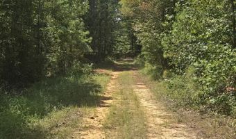 Adams Road, Bankston, AL 35542