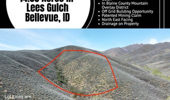 TBD Lees Gulch Rd, Bellevue, ID 83313