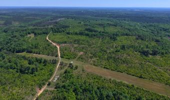 County Road 38, Autaugaville, AL 36003