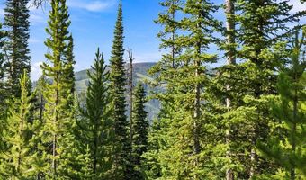 40 Swift Bear, Big Sky, MT 59716