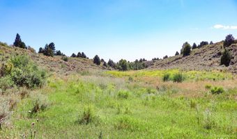 1780 Sadorus Hill Rd, Ashton, ID 83420