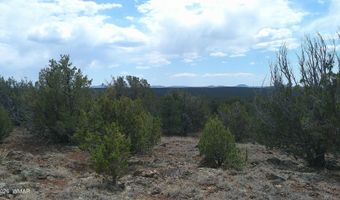 74 Co Rd, Concho, AZ 85924