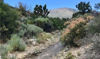 159 Eagle Nest Cir, Cold Creek, NV 89124