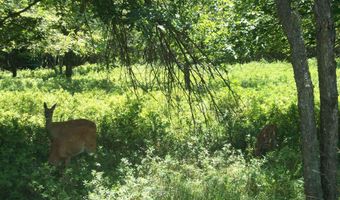 AP17F Navajo Trail, Albrightsville, PA 18210