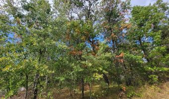 1 51 Acres 15th Ave, Arkdale, WI 54613