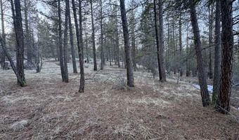 Bobcat Circle, Beatty, OR 97621
