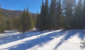 3553 RIVER Dr, Alma, CO 80420