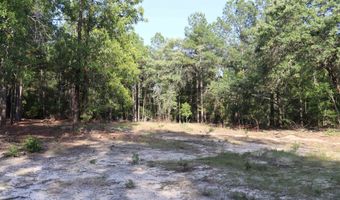 2631 Charlie Johnson Rd, Bethune, SC 29009