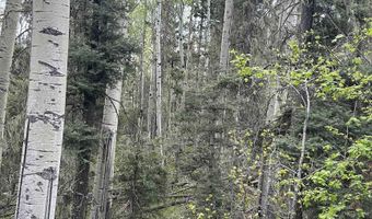 Lot 1419 Sacramento, Angel Fire, NM 87710