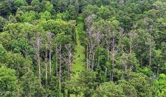 Vine Drive, Brandon, MS 39047