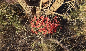 207 A Arizona Rd, Ash Fork, AZ 86320
