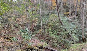 135 49ac Webb Creek Rd, Andrews, NC 28901