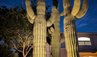 4621 E BENT TREE Dr, Cave Creek, AZ 85331