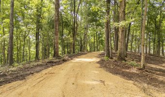 NELLS KNOB Cv, Bath Springs, TN 38311