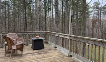 2564 E Brutus Rd, Alanson, MI 49706