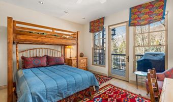 990 E Hopkins Ave, Aspen, CO 81611