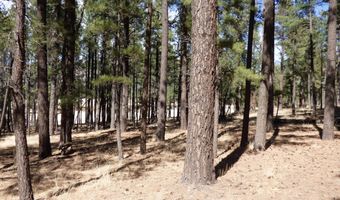 8 B County Road 2267 Escudilla Rd, Alpine, AZ 85920