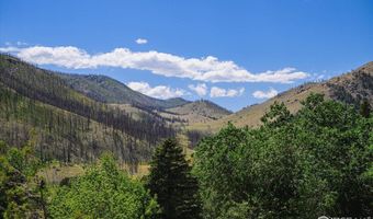 33040 Poudre Canyon Rd, Bellvue, CO 80512