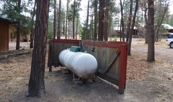 30 County Road 2066, Alpine, AZ 85920