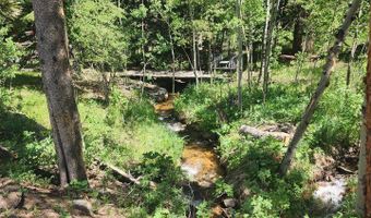 8451 Peak To Peak Hwy, Allenspark, CO 80510