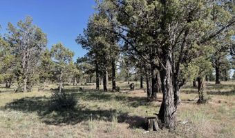 Hilltop Lane, Alturas, CA 96101