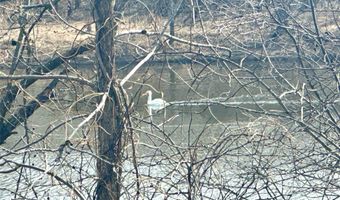 N4548 County Road N, Arkansaw, WI 54721