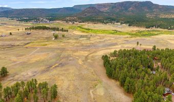 3 County Rd. N2157 Parcel 3, The Meadows Edge, Alpine, AZ 85920