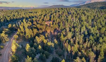 516 Saguache Dr, Florissant, CO 80816