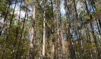 971 Somerset Rd SE, Bogue Chitto, MS 39629