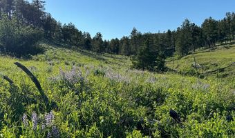 659 Deadmans Canyon Rd, Big Timber, MT 59069