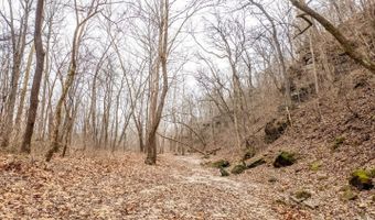 County Road 19-A, Alton, MO 65606