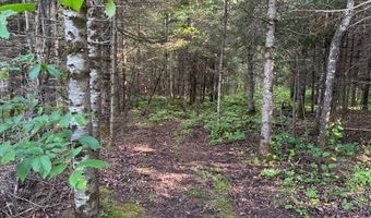 8488 Hwy 73, Angora, MN 55703