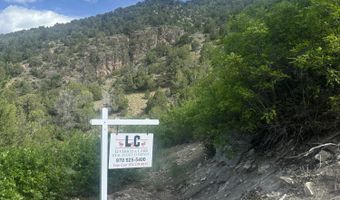 718 Silver Oak Dr, Glenwood Springs, CO 81601