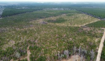 Red Oak Creek Road, Bethune, SC 29009