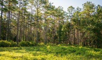 CARPENTER ROAD, Bastrop, LA 71220