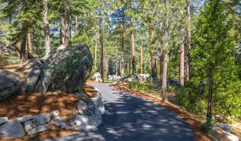 1 Tall Pines Cove Ln, Glenbrook, NV 89413