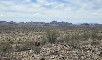 10 Acres 121-02-020, Yucca, AZ 86438